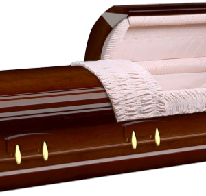 Boston Senator Cognac